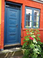 Fototapeta na wymiar Traditional colorful front door Denmark