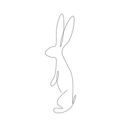 Bunny animal line drawing vector illustration