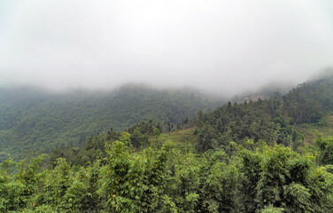 Mountain silhouettes mist