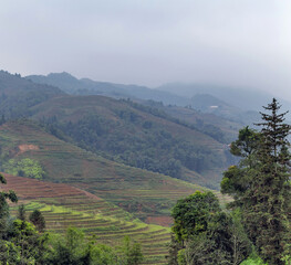 Fototapeta na wymiar view of Terraced rice field mist mountain