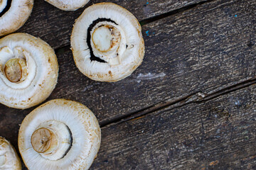 fresh mushrooms champignons harvest food background copy space organic eating healthy raw keto or paleo diet