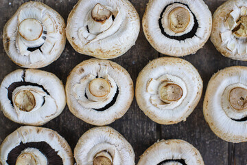 fresh mushrooms champignons harvest food background copy space organic eating healthy raw keto or paleo diet