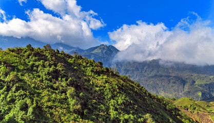 landscape terraces green grass blue sky cloud of Sapa Vietnam.