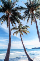 Maldives tropical beach with coconut palms