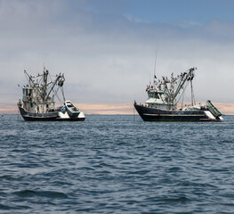 fishing boats in the bay of the Pacific Ocean