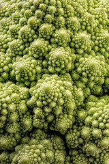 Macro of Romanisco broccoli
