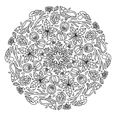 Vector mandala autumn coloring pages for adults and children. Autumn leaves, berries, mushrooms, cones and twigs. Autumn season symbol, print in a circle, print on a round shape. Leaves and mushrooms