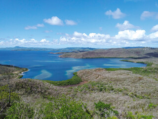 Fototapeta na wymiar Wild Caribbean coast landscape, under blue sky with tropical clouds. Tropical coastal vegetation background.