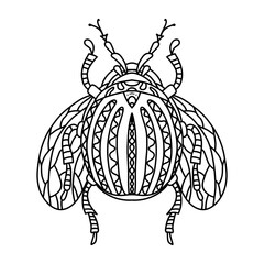 Vector illustration for coloring book Colorado beetle with wings. Coloring for adults and children with a flying insect. Pest for potatoes. Black and white coloring of a beetle with wings. Line art