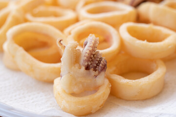 fried squids or octopus (calamari) close up, isolated on white background