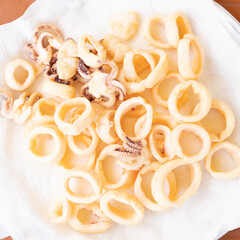 fried squids or octopus (calamari) isolated on white background