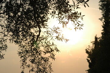 Sonnenuntergang am Meer