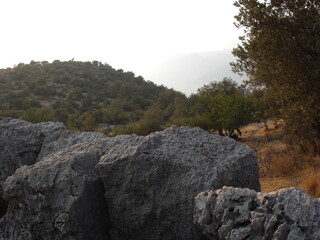 Felsen