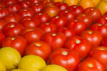 A group of tomatoes surrounded by oranges and lemons.