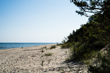 Sandy beach on the Baltic Sea, view of the sea, sandy beach and dunes covered with natural forest