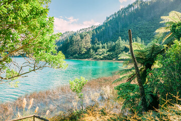 Green Lake or Lake Rotokakahi in New Zealand