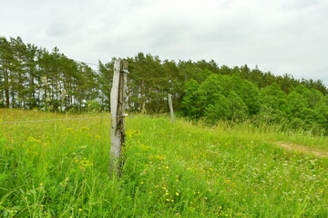 Close up on a rural fence made out of small planks or logs connected to one another by means of...