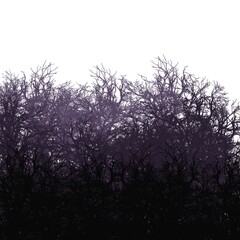 Dense impenetrable forest. Background illustration