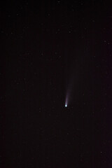 Neowise the comet among the stars, C/2020 F3 NEOWISE