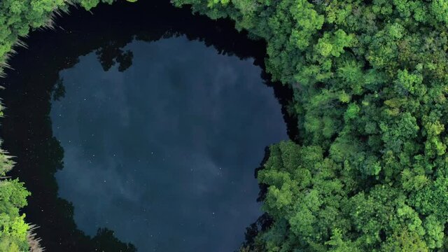 Aerial shot with a drone, spiraling upwards in Los Tres Ojos cave in Mirador del Este park, Santo Domingo Este, Dominican Republic, where we see the great vegetation