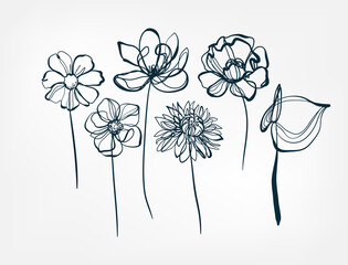 flower line one art isolated vector illustration