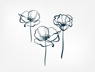 flower line one art isolated vector illustration - 366570083