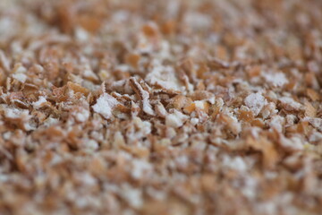 Dried grain wheat sprouts close up