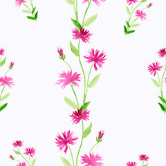 Pink cornflowers seamless pattern
