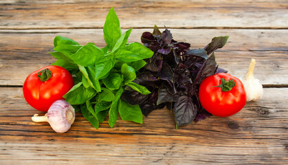 fresh green and purple basil, red tomatoes and garlic on a wooden rustic table