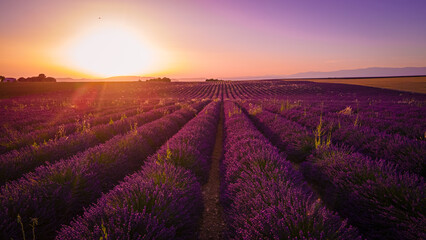 Amazing sunset over the lavender fields of Valensole Provence in France - travel photography