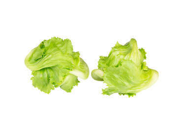 Two fresh organic iceberg lettuces on isolated white background 