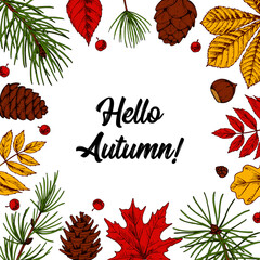 Hand drawn autumn square banner with hand drawn leaves, cones, Christmas tree branches isolated on white. Space for text. Vector illustration in sketch style. Hello autumn lettering.