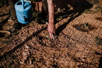 Photos in an organic garden with your farmer.