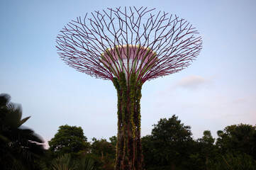 Fototapeta na wymiar Arbres artificielles dans les Gardens by the bay, Singapour