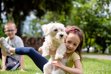 A Girl is playing with a Dog