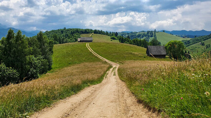 Transylvanian Hillside