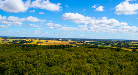 Fototapeta premium View from The forest tower in Gisselfeldt, Denmark
