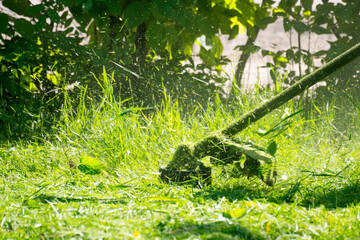 close up shot of gasoline trimmer head with nylon line cutting fresh green grass to small pieces