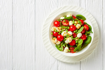 Healthy salad of mozzarella balls with tomatoes