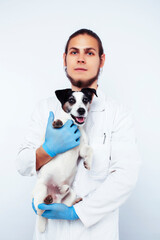 young veterinarian doctor in blue gloves examine little cute dog jack russell isolated on white background, animal healthcare concept