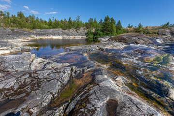 Granite rocky coast and pine tree forest. Northern Europe landscape