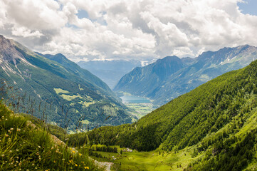 Fototapeta premium Poschiavo, Puschlav, Val Poschiavo, Lago di Poschiavo, See, Alpen, Wanderweg, Berninapass, Berninaexpress, Tirano, Sommer, Schweiz