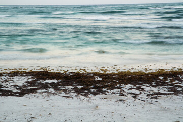 Long exposure shot of the beach, sargassum seaweed, white sand and blurred sea waves at sunset. Beautiful twilight colors and sunlight reflection in the ocean water. 