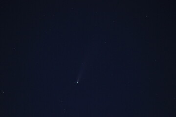 Cometa Neowise