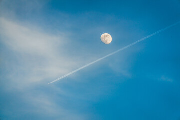 Crossing paths  © 1LifeStudios