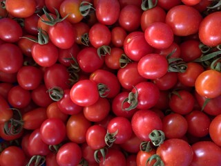 fresh red tomatoes