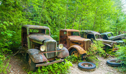 Old rusting trucks at Jawbone flat in the Opal Creek Ancient Forest.  The trucks were used in an...