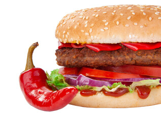 Tasty american grill burger isolated on the white