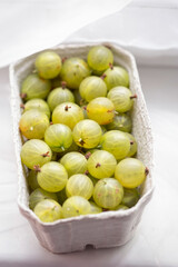 Gooseberry in cartoon punnet, daylight 
