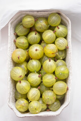 Gooseberry in cartoon punnet, daylight 